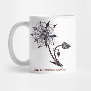 Figure 4 - Perfect Flower with pink outline Mug